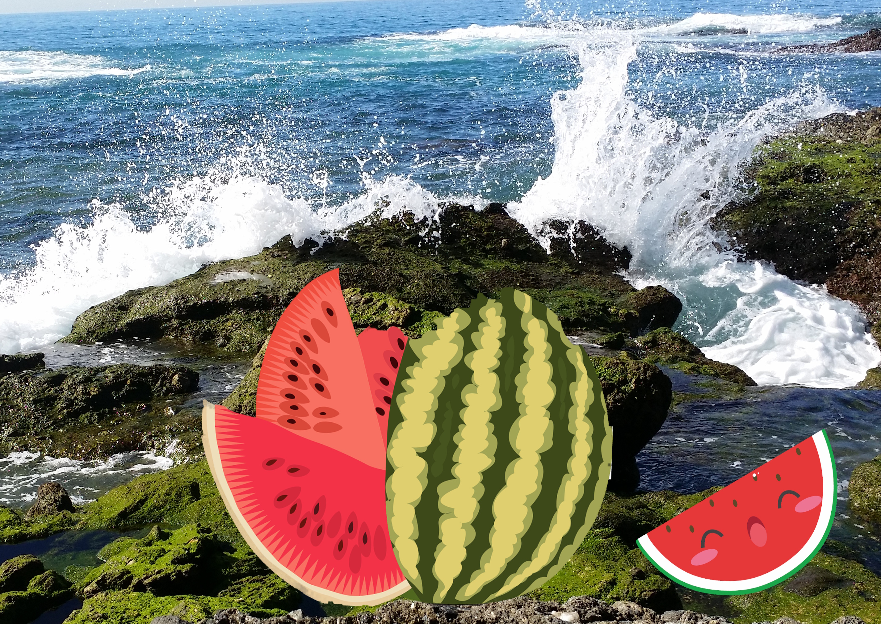 수박파도.jpg