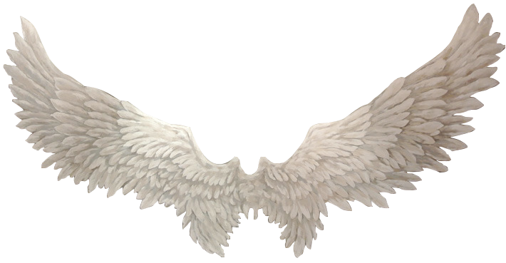 날개.png